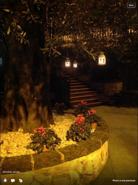 Monte Degli Ulivi Casa de Campo