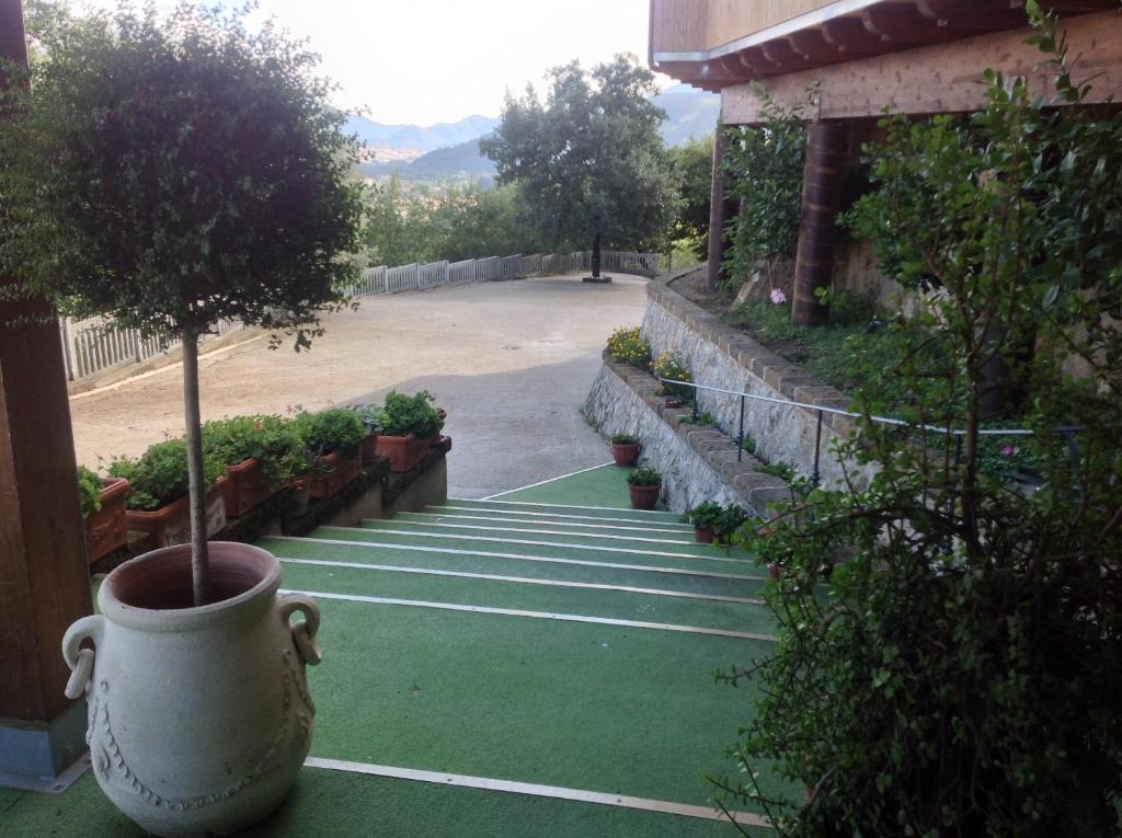 Monte Degli Ulivi * Mercato San Severino
